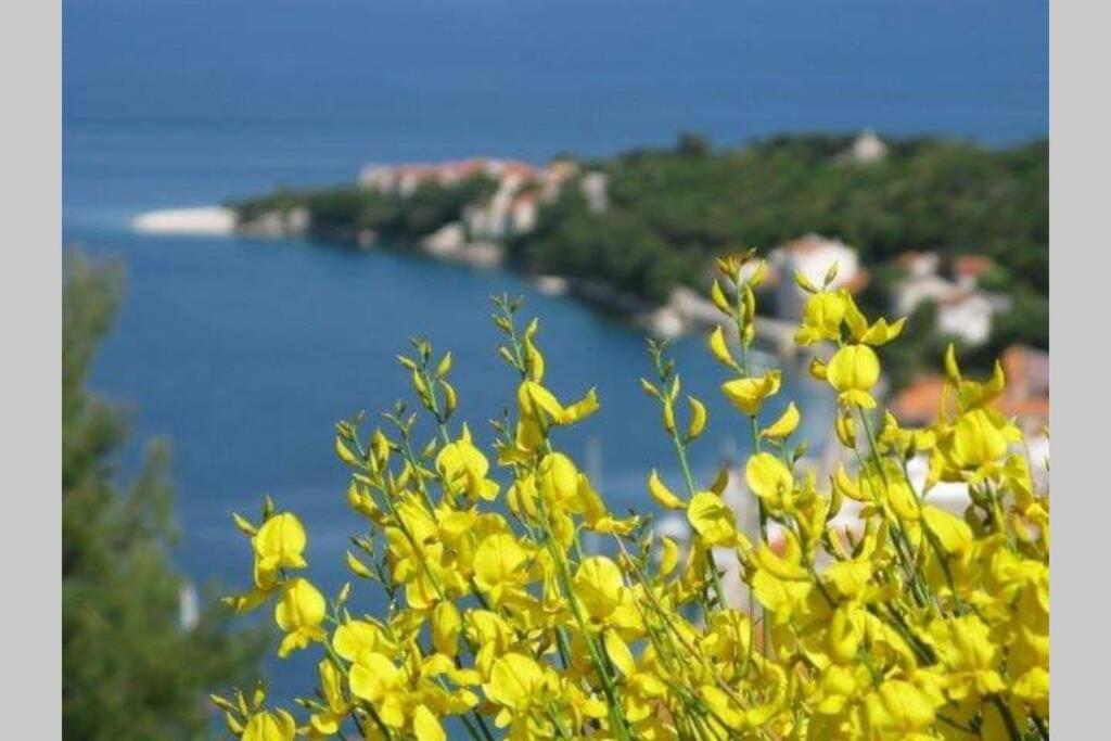 Seaview Apartment Sparkle Iskra - Povlja, Brac Povlja  Zewnętrze zdjęcie